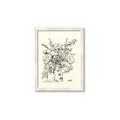 Picture of Drawn Florals III  _GroupedProduct_Rectangle_Portrait_Framed_Matted_