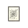 Picture of Drawn Florals III  _GroupedProduct_Rectangle_Portrait_Framed_Matted_