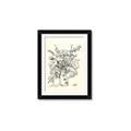 Picture of Drawn Florals III  _GroupedProduct_Rectangle_Portrait_Framed_Matted_