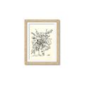 Picture of Drawn Florals III  _GroupedProduct_Rectangle_Portrait_Framed_Matted_