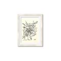 Picture of Drawn Florals III  _GroupedProduct_Rectangle_Portrait_Framed_Matted_
