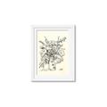 Picture of Drawn Florals III  _GroupedProduct_Rectangle_Portrait_Framed_Matted_