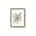 Picture of Drawn Florals III  _GroupedProduct_Rectangle_Portrait_Framed_Matted_