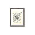 Picture of Drawn Florals III  _GroupedProduct_Rectangle_Portrait_Framed_Matted_