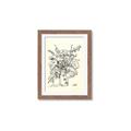 Picture of Drawn Florals III  _GroupedProduct_Rectangle_Portrait_Framed_Matted_