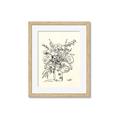 Picture of Drawn Florals III  _GroupedProduct_Rectangle_Portrait_Framed_Matted_