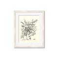 Picture of Drawn Florals III  _GroupedProduct_Rectangle_Portrait_Framed_Matted_