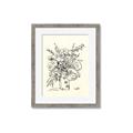 Picture of Drawn Florals III  _GroupedProduct_Rectangle_Portrait_Framed_Matted_