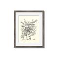 Picture of Drawn Florals III  _GroupedProduct_Rectangle_Portrait_Framed_Matted_