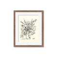 Picture of Drawn Florals III  _GroupedProduct_Rectangle_Portrait_Framed_Matted_