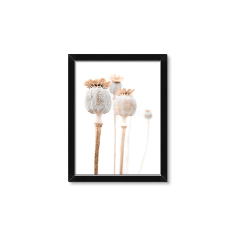 Picture of About to Bloom  _GroupedProduct_Rectangle_Portrait_Photography _GroupedProduct_Rectangle_Portrait_Framed_Matted_