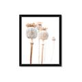 Picture of About to Bloom  _GroupedProduct_Rectangle_Portrait_Photography _GroupedProduct_Rectangle_Portrait_Framed_Matted_