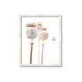 Picture of About to Bloom  _GroupedProduct_Rectangle_Portrait_Photography _GroupedProduct_Rectangle_Portrait_Framed_Matted_