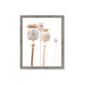 Picture of About to Bloom  _GroupedProduct_Rectangle_Portrait_Photography _GroupedProduct_Rectangle_Portrait_Framed_Matted_