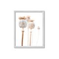 Picture of About to Bloom  _GroupedProduct_Rectangle_Portrait_Photography _GroupedProduct_Rectangle_Portrait_Framed_Matted_