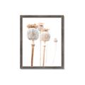 Picture of About to Bloom  _GroupedProduct_Rectangle_Portrait_Photography _GroupedProduct_Rectangle_Portrait_Framed_Matted_