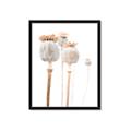 Picture of About to Bloom  _GroupedProduct_Rectangle_Portrait_Photography _GroupedProduct_Rectangle_Portrait_Framed_Matted_