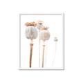 Picture of About to Bloom  _GroupedProduct_Rectangle_Portrait_Photography _GroupedProduct_Rectangle_Portrait_Framed_Matted_