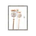 Picture of About to Bloom  _GroupedProduct_Rectangle_Portrait_Photography _GroupedProduct_Rectangle_Portrait_Framed_Matted_