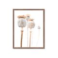 Picture of About to Bloom  _GroupedProduct_Rectangle_Portrait_Photography _GroupedProduct_Rectangle_Portrait_Framed_Matted_