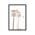 Picture of About to Bloom  _GroupedProduct_Rectangle_Portrait_Photography _GroupedProduct_Rectangle_Portrait_Framed_Matted_