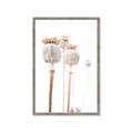 Picture of About to Bloom  _GroupedProduct_Rectangle_Portrait_Photography _GroupedProduct_Rectangle_Portrait_Framed_Matted_