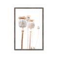 Picture of About to Bloom  _GroupedProduct_Rectangle_Portrait_Photography _GroupedProduct_Rectangle_Portrait_Framed_Matted_