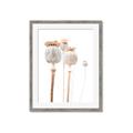 Picture of About to Bloom  _GroupedProduct_Rectangle_Portrait_Photography _GroupedProduct_Rectangle_Portrait_Framed_Matted_