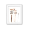 Picture of About to Bloom  _GroupedProduct_Rectangle_Portrait_Photography _GroupedProduct_Rectangle_Portrait_Framed_Matted_