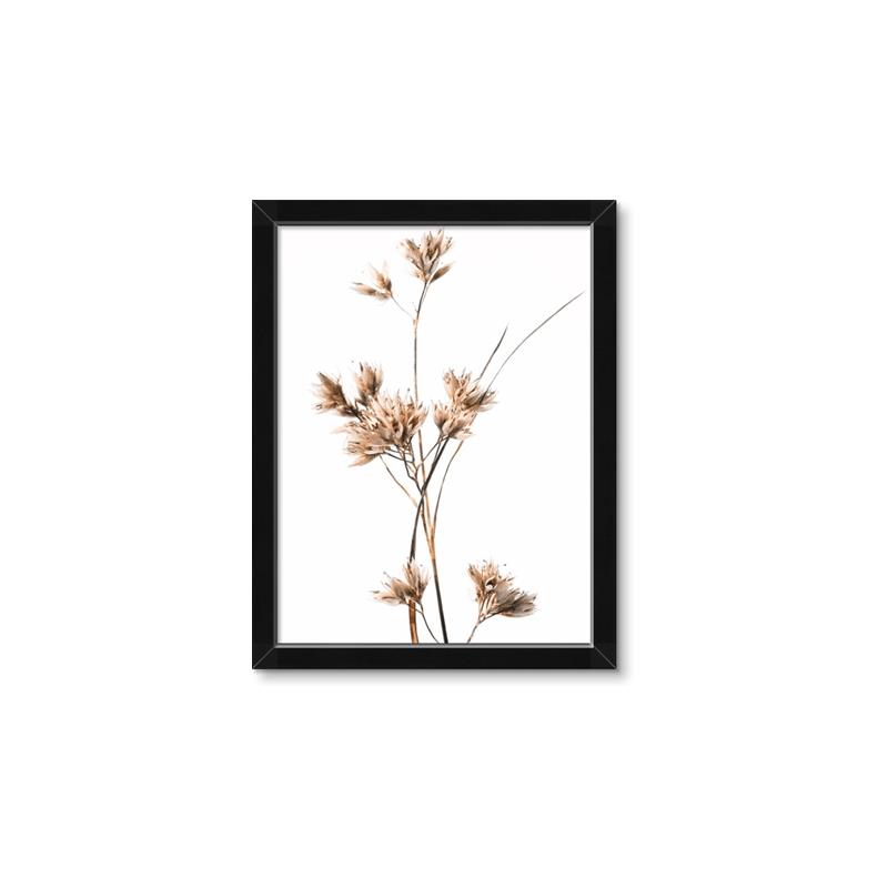 Picture of Aster Flower  _GroupedProduct_Rectangle_Portrait_Photography _GroupedProduct_Rectangle_Portrait_Framed_Matted_