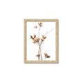 Picture of Aster Flower  _GroupedProduct_Rectangle_Portrait_Photography _GroupedProduct_Rectangle_Portrait_Framed_Matted_