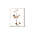 Picture of Aster Flower  _GroupedProduct_Rectangle_Portrait_Photography _GroupedProduct_Rectangle_Portrait_Framed_Matted_