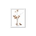 Picture of Aster Flower  _GroupedProduct_Rectangle_Portrait_Photography _GroupedProduct_Rectangle_Portrait_Framed_Matted_