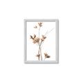 Picture of Aster Flower  _GroupedProduct_Rectangle_Portrait_Photography _GroupedProduct_Rectangle_Portrait_Framed_Matted_
