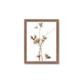 Picture of Aster Flower  _GroupedProduct_Rectangle_Portrait_Photography _GroupedProduct_Rectangle_Portrait_Framed_Matted_