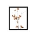 Picture of Aster Flower  _GroupedProduct_Rectangle_Portrait_Photography _GroupedProduct_Rectangle_Portrait_Framed_Matted_