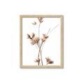 Picture of Aster Flower  _GroupedProduct_Rectangle_Portrait_Photography _GroupedProduct_Rectangle_Portrait_Framed_Matted_