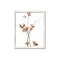 Picture of Aster Flower  _GroupedProduct_Rectangle_Portrait_Photography _GroupedProduct_Rectangle_Portrait_Framed_Matted_