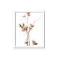 Picture of Aster Flower  _GroupedProduct_Rectangle_Portrait_Photography _GroupedProduct_Rectangle_Portrait_Framed_Matted_