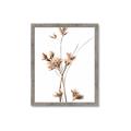 Picture of Aster Flower  _GroupedProduct_Rectangle_Portrait_Photography _GroupedProduct_Rectangle_Portrait_Framed_Matted_
