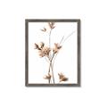 Picture of Aster Flower  _GroupedProduct_Rectangle_Portrait_Photography _GroupedProduct_Rectangle_Portrait_Framed_Matted_