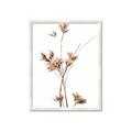 Picture of Aster Flower  _GroupedProduct_Rectangle_Portrait_Photography _GroupedProduct_Rectangle_Portrait_Framed_Matted_