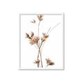 Picture of Aster Flower  _GroupedProduct_Rectangle_Portrait_Photography _GroupedProduct_Rectangle_Portrait_Framed_Matted_