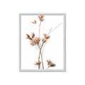 Picture of Aster Flower  _GroupedProduct_Rectangle_Portrait_Photography _GroupedProduct_Rectangle_Portrait_Framed_Matted_