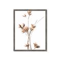 Picture of Aster Flower  _GroupedProduct_Rectangle_Portrait_Photography _GroupedProduct_Rectangle_Portrait_Framed_Matted_