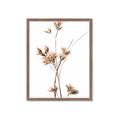 Picture of Aster Flower  _GroupedProduct_Rectangle_Portrait_Photography _GroupedProduct_Rectangle_Portrait_Framed_Matted_