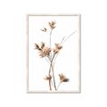 Picture of Aster Flower  _GroupedProduct_Rectangle_Portrait_Photography _GroupedProduct_Rectangle_Portrait_Framed_Matted_