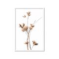 Picture of Aster Flower  _GroupedProduct_Rectangle_Portrait_Photography _GroupedProduct_Rectangle_Portrait_Framed_Matted_
