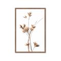 Picture of Aster Flower  _GroupedProduct_Rectangle_Portrait_Photography _GroupedProduct_Rectangle_Portrait_Framed_Matted_