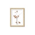 Picture of Aster Flower  _GroupedProduct_Rectangle_Portrait_Photography _GroupedProduct_Rectangle_Portrait_Framed_Matted_